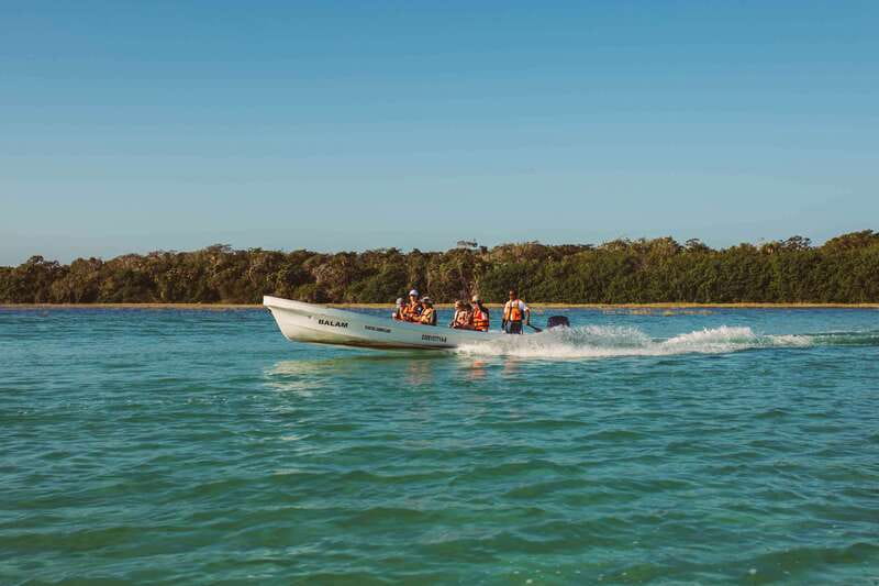 From Riviera Maya: Sian Ka'an Half Day Tour w/ Lunch - Boca Paila lagoon: where wildlife spotting turns from photos into something real