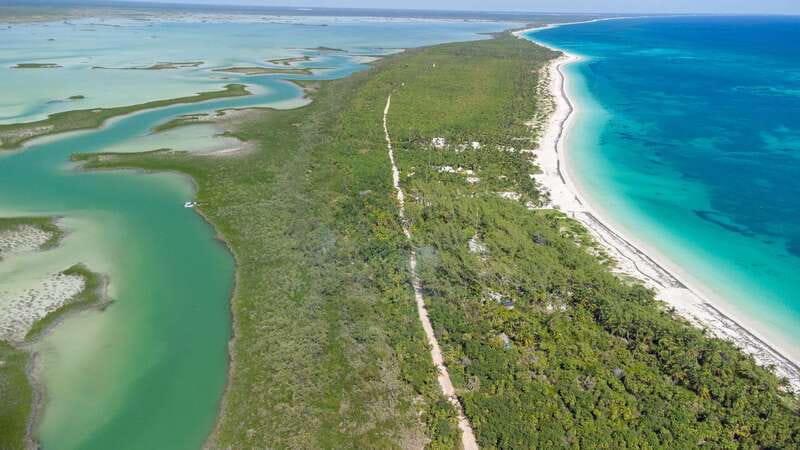From Riviera Maya: Sian Ka'an Half Day Tour w/ Lunch - Snorkeling on the Mesoamerican Barrier reef, and the weather reality
