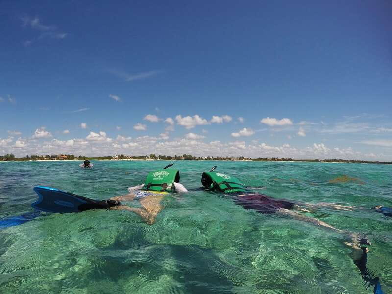 From Riviera Maya: Sian Ka'an Half Day Tour w/ Lunch - Price and value: is $204 worth it for Sian Kaan?