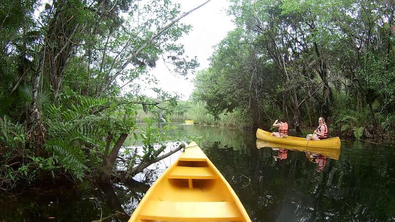 From Tulum: Four-Cenote Adventure - The Mayan village lunch is not an afterthought