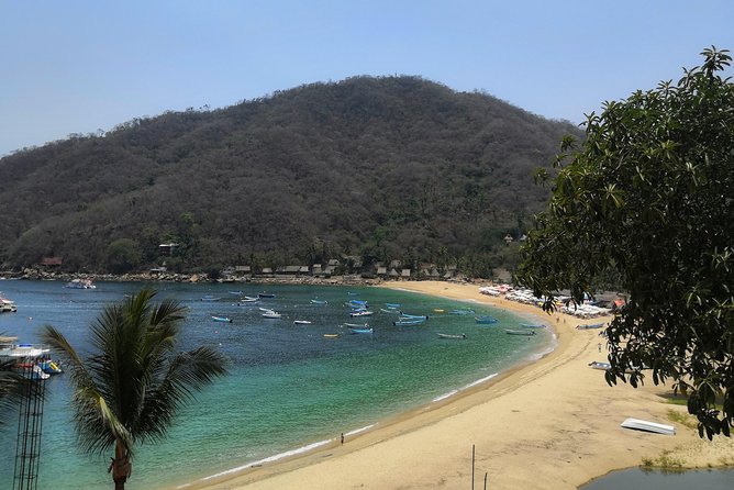 Full-Day Experience in Banderas Bay - Las Animas Adventure Park: Safe Splash Time and Seafood Options