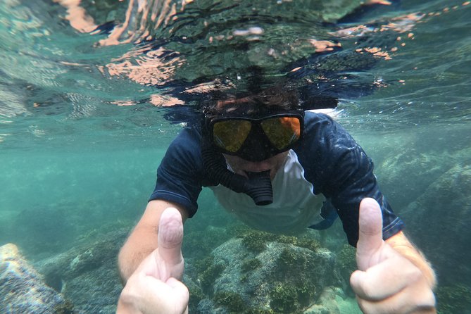 Full-Day Experience in Banderas Bay - Yelapa Waterfalls: Town Beach Time and the Best View from Above