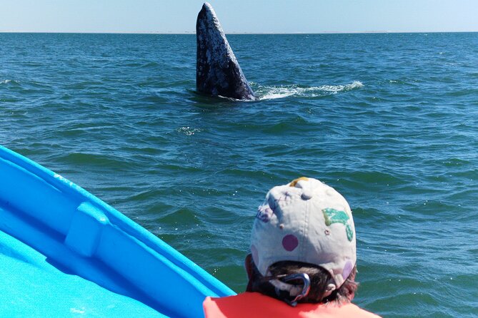 Full Day Gray Whale Watching Experience - Lunch at Puerto Chale: A Real Break, Not Just a Token Meal