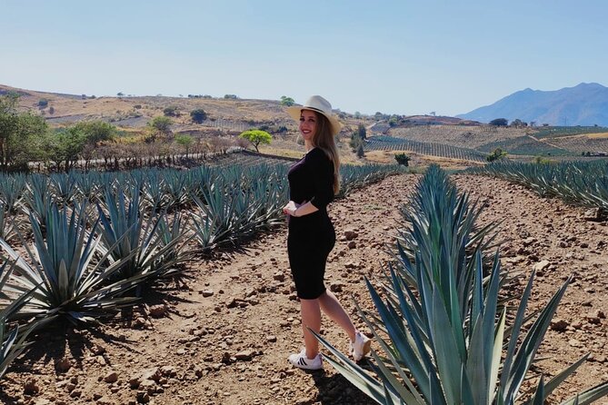 Full Day in Tequila with Tasting and party in Cantaritos - Guides, English explanations, and how the day stays on track