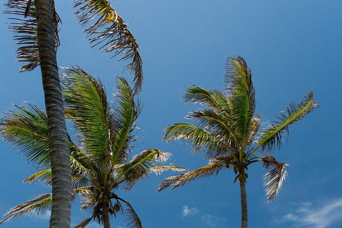 Full-Day Isla Contoy Sailing Nature Experience in Mujeres - Isla Contoy: protected island time plus an eco tour