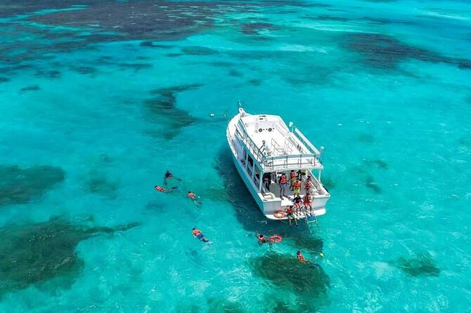 Full-Day Isla Contoy Sailing Nature Experience in Mujeres - Lunch and snorkeling gear: why included beats extra decisions