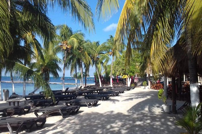 Full-Day Luxurious Catamaran Adventure - Cancún to Isla Mujeres - Reef tax, drinks, and what $62 really buys you