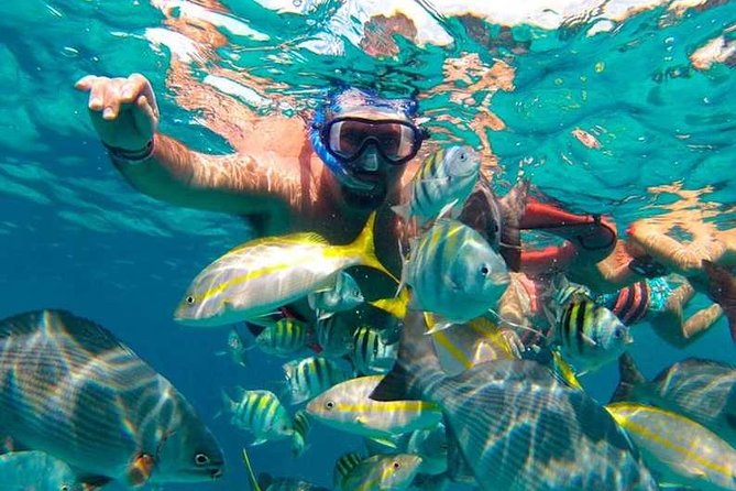 Full-Day Luxurious Catamaran Adventure - Cancún to Isla Mujeres - Photo pressure: how to avoid paying big money for mediocre shots