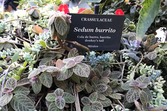 Full Day Puerto Vallarta Botanical Garden Tour - Key Points That Make This Tour Worth Your Time