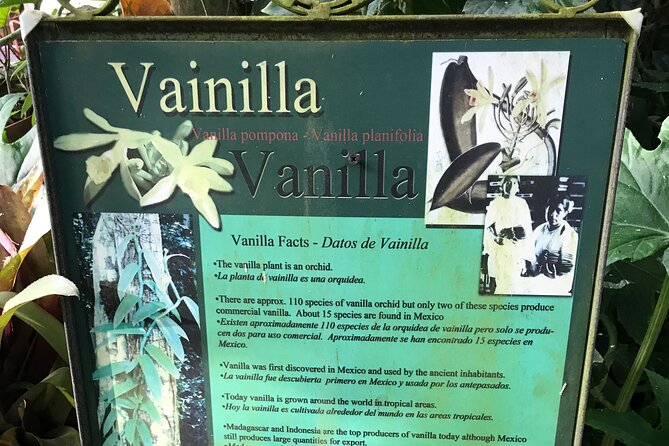 Full Day Puerto Vallarta Botanical Garden Tour - Canyon River Time: Boulder Rest, Chilly Pools, and a Chance to Swim