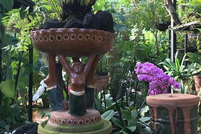 Full Day Puerto Vallarta Botanical Garden Tour - Arriving at Jardin Botanico de Vallarta: A Plant Story You Can Actually Use