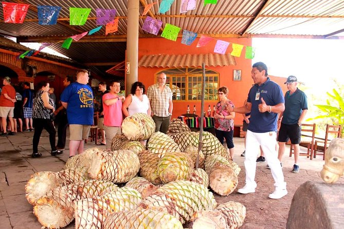 Full-Day Puerto Vallarta City Highlights Tour - Family-friendliness: when this works, and when it doesn’t