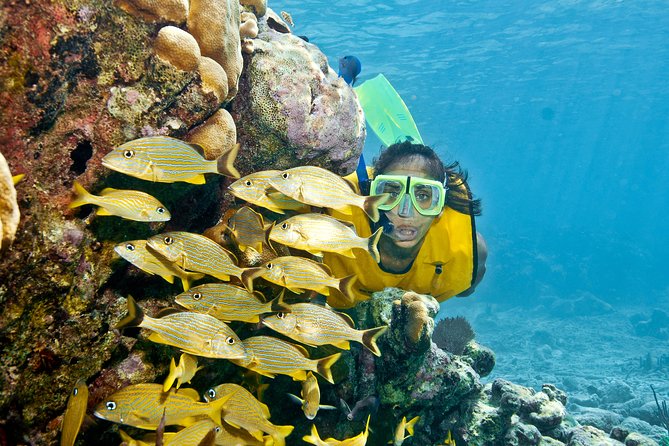 Full-Day Snorkel Extreme Adventure Tour from Riviera Maya - Caribbean snorkeling: what you’ll actually see, and what gear covers