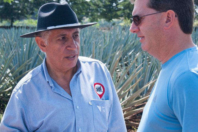 Full-Day Tequila Tour from Guadalajara - Getting From Guadalajara: Pickup, Minivan, and Realistic Timing