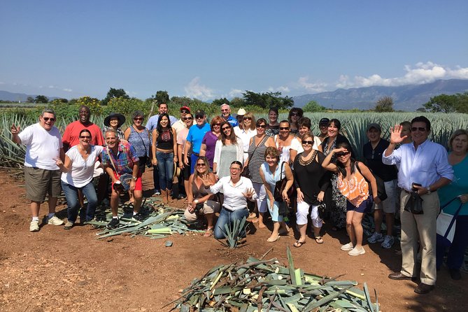 Full-Day Tequila Tour from Guadalajara - Tequila Town: Guided Walking, Lunch Options, and Shopping Time
