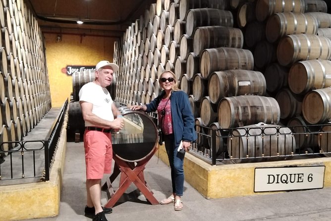 Full-Day Tequila Tour from Guadalajara - Guides Make the Difference: Ramon, Roberto, and the Bilingual Reality