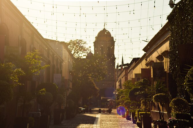 Full-Day Tequila Tour from Guadalajara - Who This Tour Suits Best