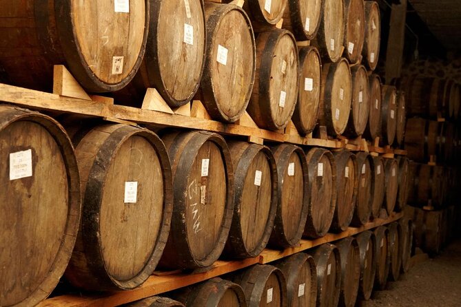 Full-Day Tequila Tour from Guadalajara - Mundo Cuervo Agave Fields: The Jimador Moment That Makes It Click