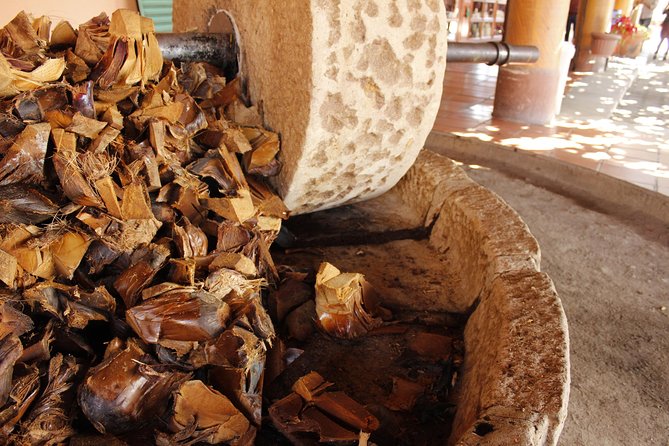 full day tour : Boil the water, Teotitlan, Mezcal, tule and Mitla - Donají lunch stop: time to eat, but plan your own meal