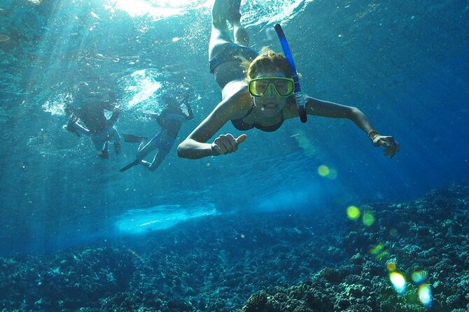 Full Day Tour Isla Marietas with Meals and Open Bar - Price and value: is $115 worth it?