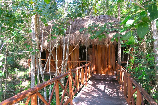 Full-Day Tour of Tulum Ruins and Cenotes with Lunch - Snorkeling Comfort: Life Jackets, Rings, and Quick Exit Stairs