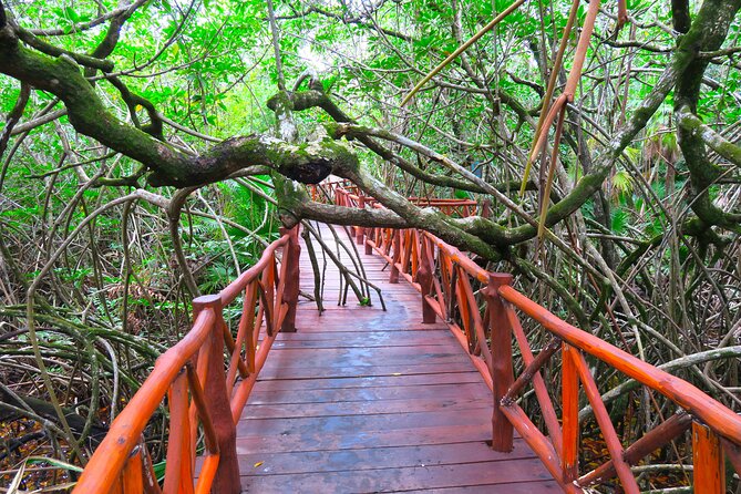 Full-Day Tour of Tulum Ruins and Cenotes with Lunch - Should You Book This Tour?