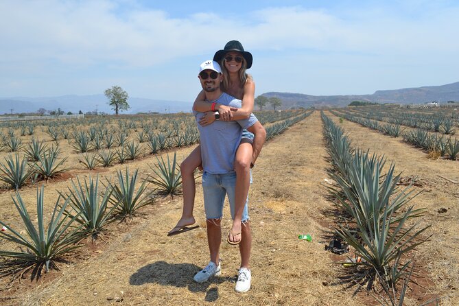 Full Day Tour to Tequila and Amatitán with Fun and Culture - A 9.5-hour Jalisco route that actually feels like a tour, not a checklist