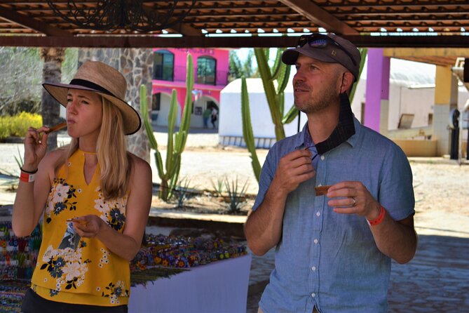 Full Day Tour to Tequila and Amatitán with Fun and Culture - Tequila town time: streets, lunch music, and a realistic wandering window