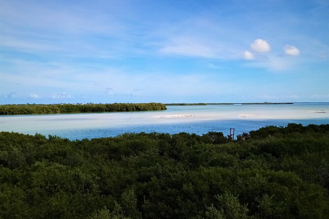 Full Day Tour to the Best of Holbox - Yalahau Lagoon and Ojo de Agua time for swimming
