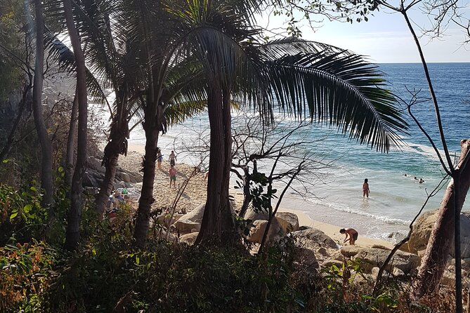 Full-Day Trail to 6 hidden Beaches, Colomitos & Snorkel - Playa Las Ánimas: the finish spot with local seafood and beach time