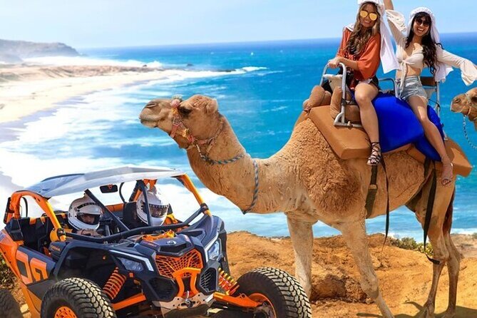 Fun Camel Ride and UTV COMBO with Tequila Tasting! - Key Things I’d Plan For