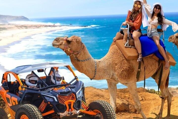 Fun Camel Ride and UTV COMBO with Tequila Tasting! - Price and Logistics: What the $109 Really Means