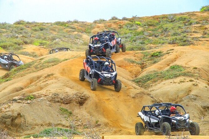 Fun Camel Ride and UTV COMBO with Tequila Tasting! - How the 3-Hour Flow Actually Plays Out
