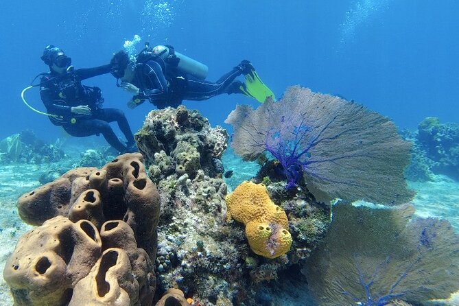 Fun Dive Machine in Playa del Carmen or Cozumel-For Certificates - Meeting point in Playa del Carmen, and why location matters