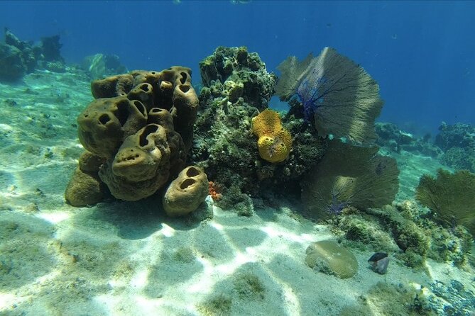 Fun Dive Machine in Playa del Carmen or Cozumel-For Certificates - Certification and who this is best for