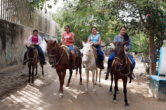 Fun Horseback Tour in Mismaloya - Morning or afternoon: choose based on your energy level