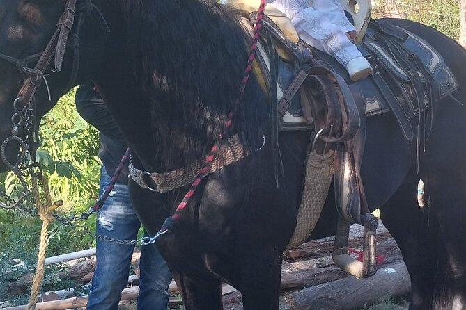 Fun Horseback Tour in Mismaloya - Photos and extra add-ons: what’s optional