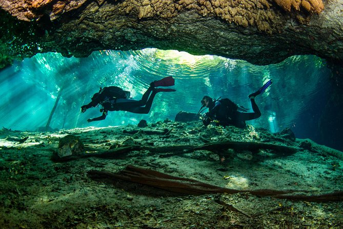 Go for 2 dives in cenote Dos ojos for certified divers - Dos Ojos basics: two cenotes, one unforgettable lighting show