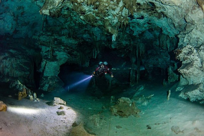 Go for 2 dives in cenote Dos ojos for certified divers - Bat Cave route: flashlights, tunnels, and the wait-for-the-next-turn feeling