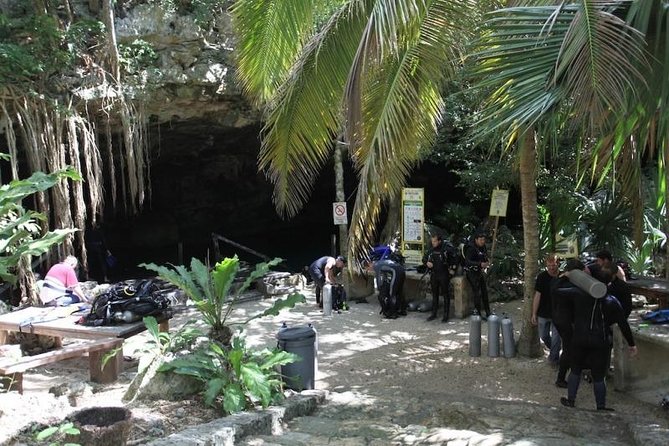 Go for 2 dives in cenote Dos ojos for certified divers - It runs about four hours, and the rhythm is built around two separate segments