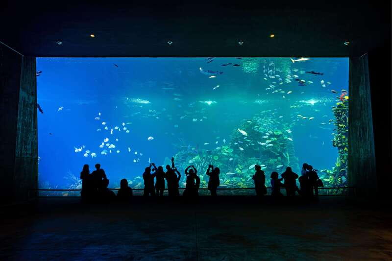 Gran Acuario Mazatlan - Gran Acuario Mazatlán in one day: what your $30 ticket really buys