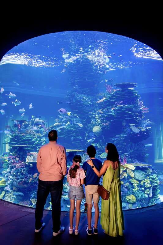 Gran Acuario Mazatlan - Starting at the desert reptiles and walking toward the coast