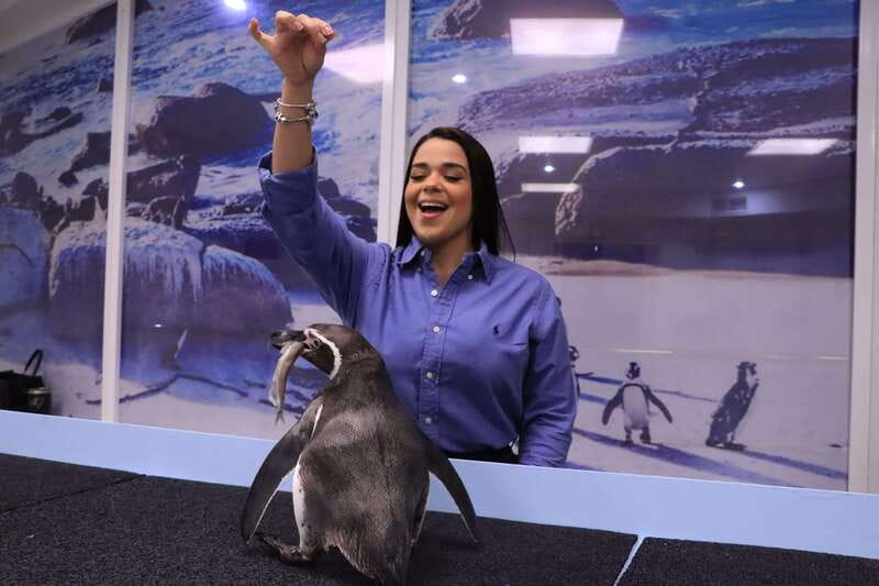Gran Acuario Mazatlan - The oceanic habitat and the 42x23-foot viewing window