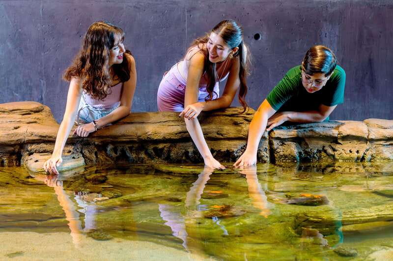 Gran Acuario Mazatlan - Gardens, Guacamaya House, and birds in the themed walk