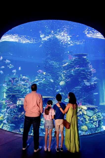 Gran Acuario Mazatlan - The scuba show and rays: what you will see, and what you won’t do
