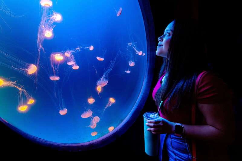 Gran Acuario Mazatlan - Bird theater: enjoy the performance, plan around language