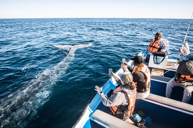 Gray Whale Watching Tour with Marine Biologist and Small Group - The Puerto Chale Seafood Lunch: A Real Break From the Boat