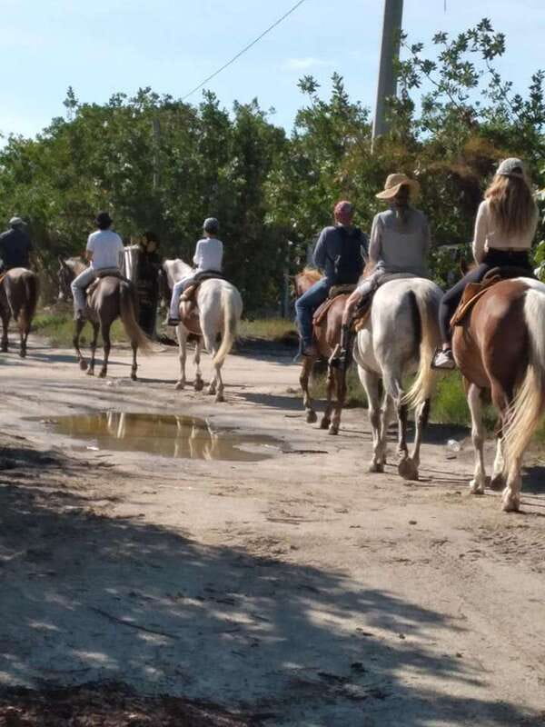 Group horseback ride on Holbox Island, Quintana Roo - Punta Siricote riding: mangroves first, beach later