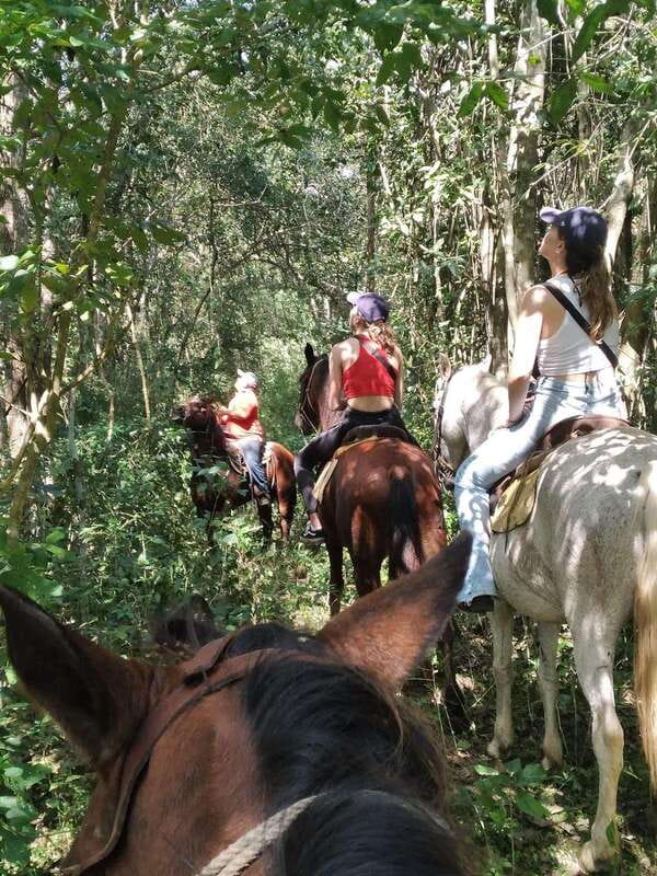 Group horseback ride on Holbox Island, Quintana Roo - What the 80 minutes feel like, stop by stop