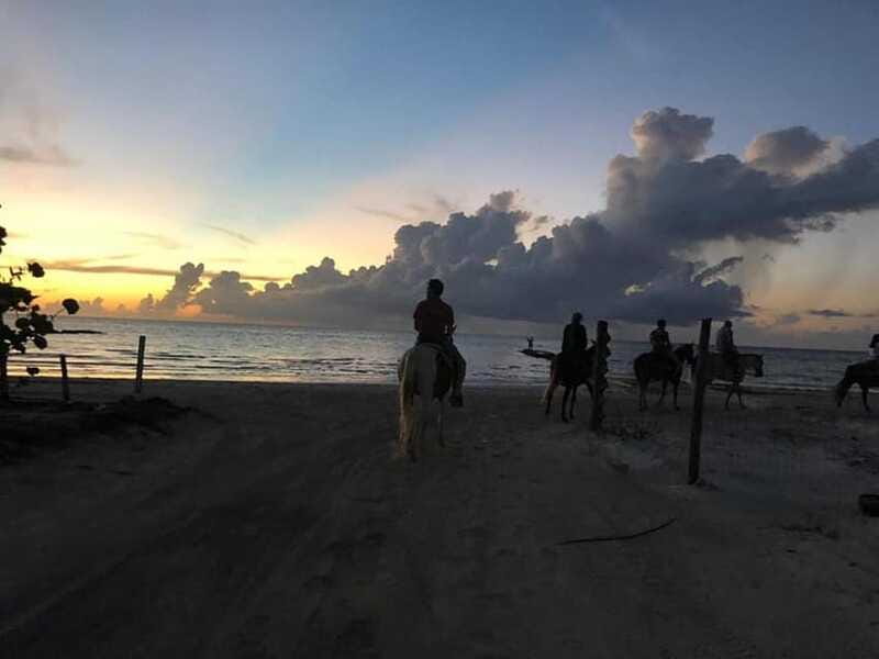 Group horseback ride on Holbox Island, Quintana Roo - Language, group size, and meeting up without stress